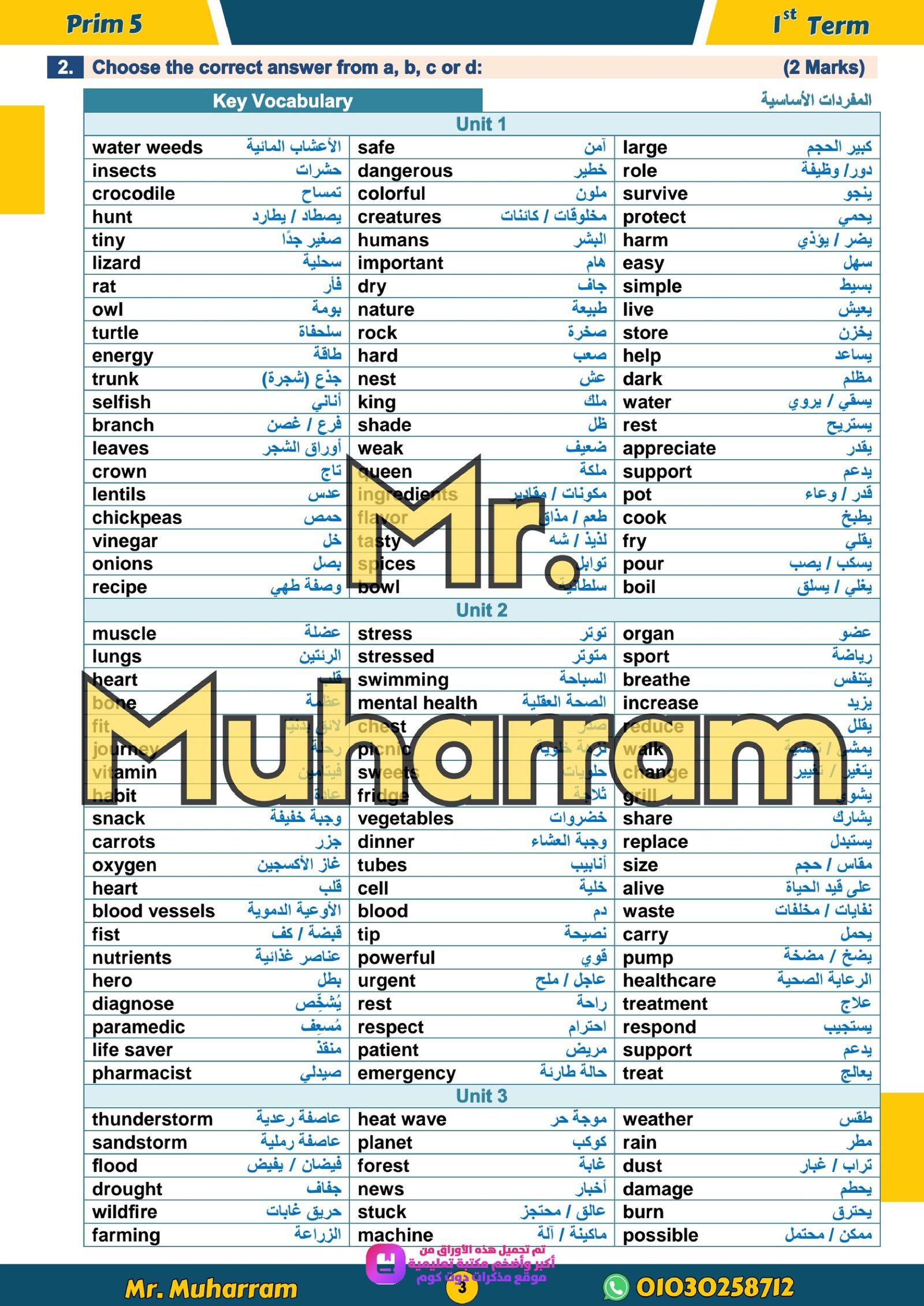 مراجعة شهر اكتوبر في اللغة الانجليزية للصف الخامس الابتدائي الترم الاول 2027 pdf اعداد مستر/محرم علي - معاينة الصفحة 3