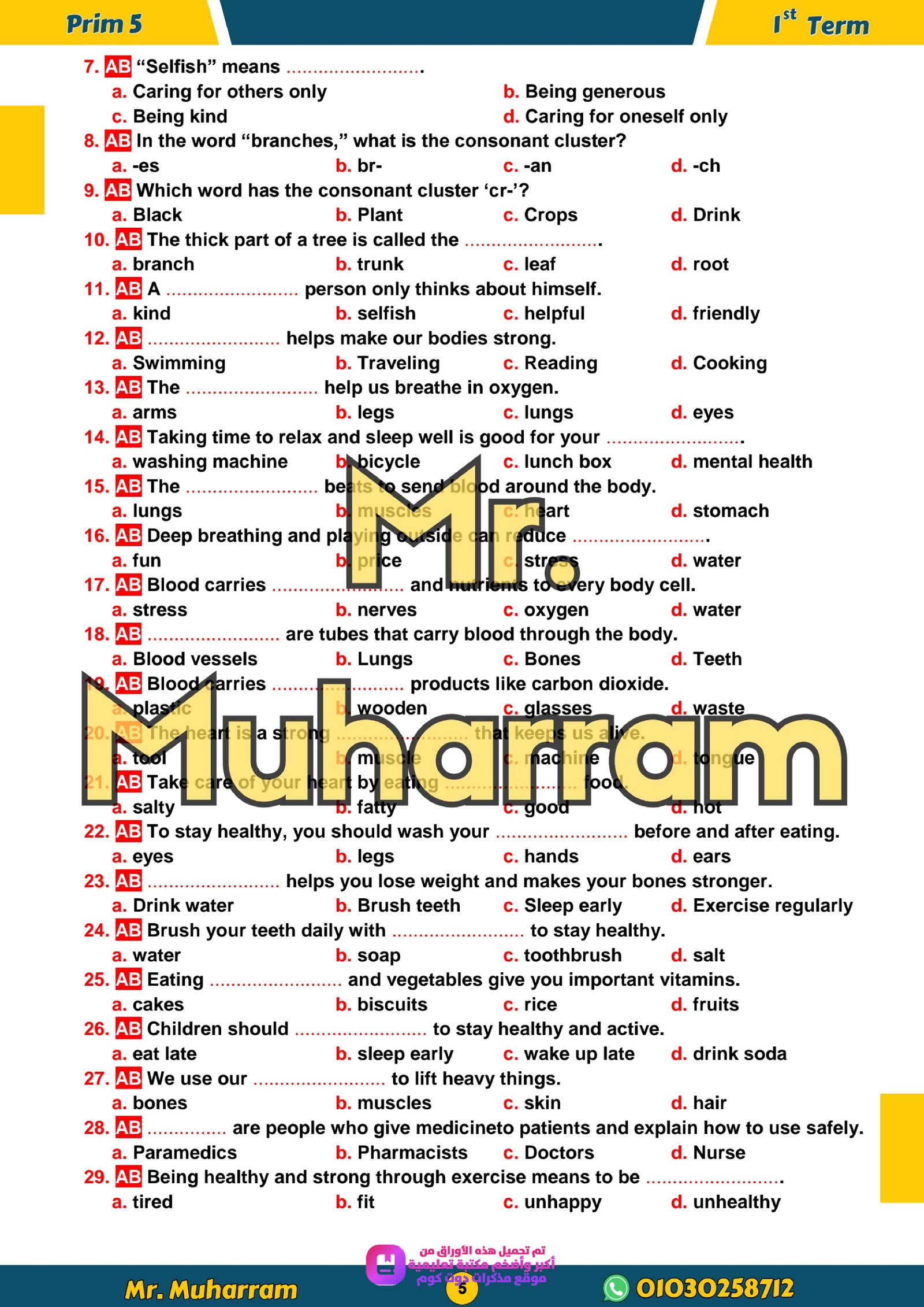 مراجعة شهر اكتوبر في اللغة الانجليزية للصف الخامس الابتدائي الترم الاول 2027 pdf اعداد مستر/محرم علي - معاينة الصفحة 5