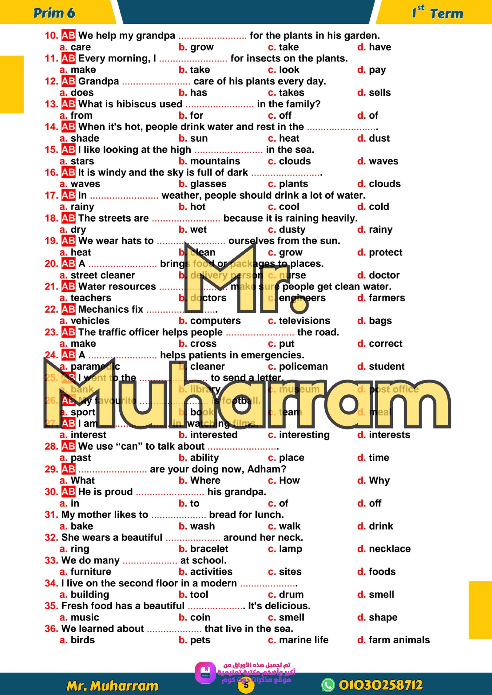 مراجعة شهر اكتوبر في اللغة الانجليزية للصف السادس الابتدائي الترم الاول 2027 pdf اعداد مستر/محرم علي - معاينة الصفحة 5